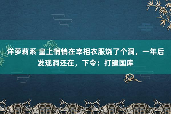 洋萝莉系 皇上悄悄在宰相衣服烧了个洞，一年后发现洞还在，下令：打建国库