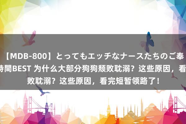 【MDB-800】とってもエッチなナースたちのご奉仕SEX 30人4時間BEST 为什么大部分狗狗颓败耽溺？这些原因，看完短暂领路了！