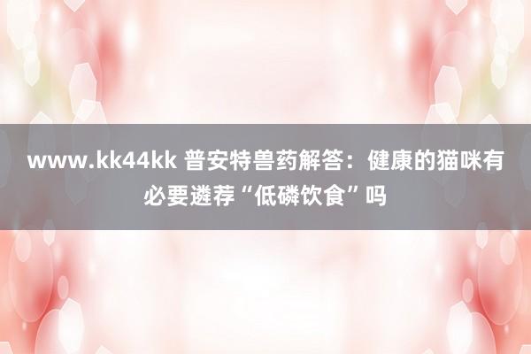 www.kk44kk 普安特兽药解答：健康的猫咪有必要遴荐“低磷饮食”吗