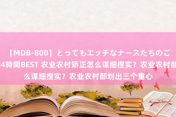 【MDB-800】とってもエッチなナースたちのご奉仕SEX 30人4時間BEST 农业农村矫正怎么谋细捏实？农业农村部划出三个重心