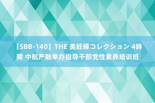 【SBB-140】THE 美妊婦コレクション 4時間 中航产融举办指导干部党性素养培训班