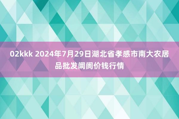 02kkk 2024年7月29日湖北省孝感市南大农居品批发阛阓价钱行情