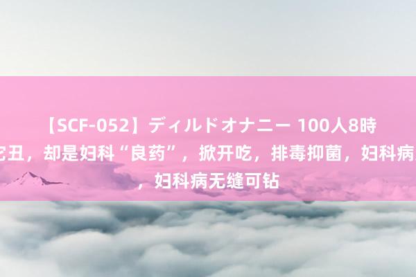 【SCF-052】ディルドオナニー 100人8時間 别嫌它丑，却是妇科“良药”，掀开吃，排毒抑菌，妇科病无缝可钻