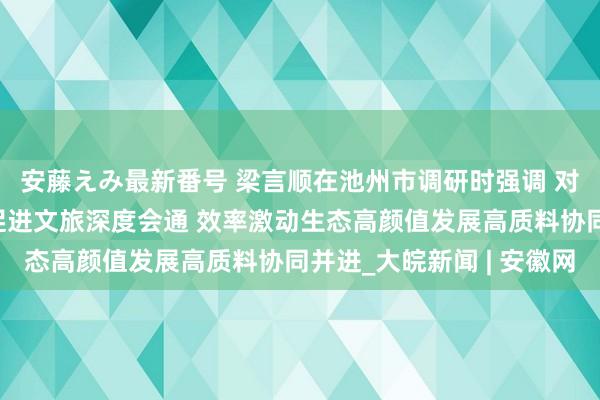 安藤えみ最新番号 梁言顺在池州市调研时强调 对峙生态优先绿色发展促进文旅深度会通 效率激动生态高颜值发展高质料协同并进_大皖新闻 | 安徽网