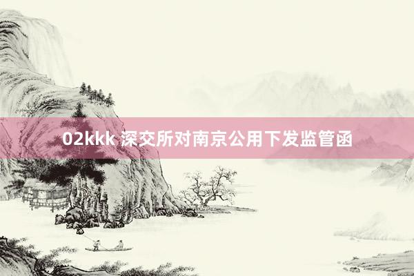 02kkk 深交所对南京公用下发监管函