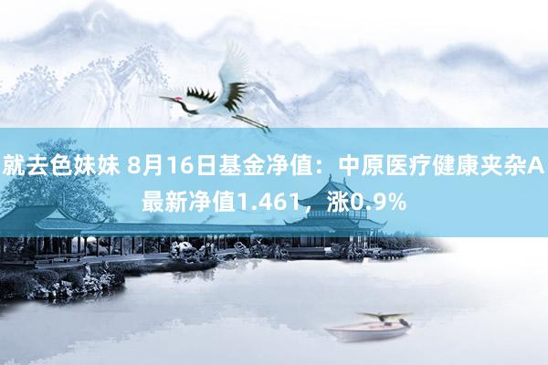 就去色妹妹 8月16日基金净值：中原医疗健康夹杂A最新净值1.461，涨0.9%