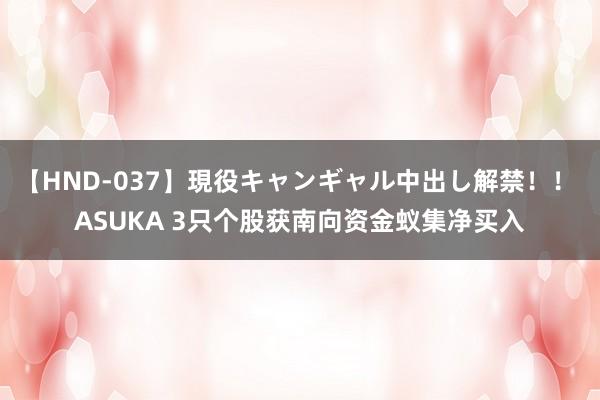 【HND-037】現役キャンギャル中出し解禁！！ ASUKA 3只个股获南向资金蚁集净买入