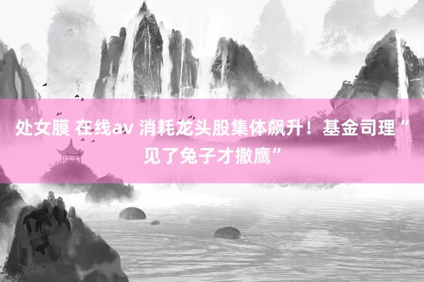 处女膜 在线av 消耗龙头股集体飙升！基金司理“见了兔子才撒鹰”