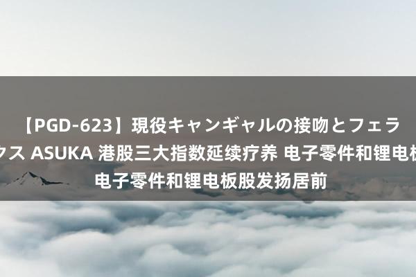 【PGD-623】現役キャンギャルの接吻とフェラチオとセックス ASUKA 港股三大指数延续疗养 电子零件和锂电板股发扬居前