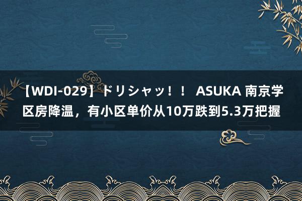 【WDI-029】ドリシャッ！！ ASUKA 南京学区房降温，有小区单价从10万跌到5.3万把握