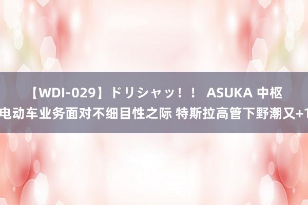 【WDI-029】ドリシャッ！！ ASUKA 中枢电动车业务面对不细目性之际 特斯拉高管下野潮又+1