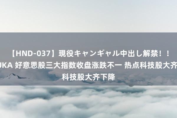 【HND-037】現役キャンギャル中出し解禁！！ ASUKA 好意思股三大指数收盘涨跌不一 热点科技股大齐下降