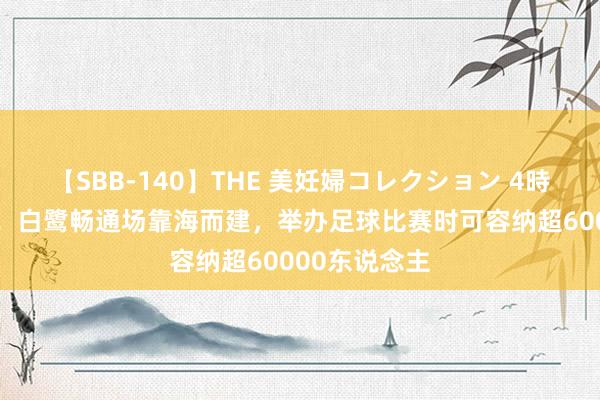 【SBB-140】THE 美妊婦コレクション 4時間 专科球场！白鹭畅通场靠海而建，举办足球比赛时可容纳超60000东说念主