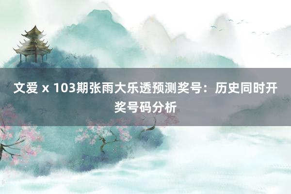 文爱 x 103期张雨大乐透预测奖号：历史同时开奖号码分析