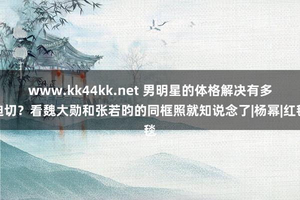 www.kk44kk.net 男明星的体格解决有多迫切？看魏大勋和张若昀的同框照就知说念了|杨幂|红毯