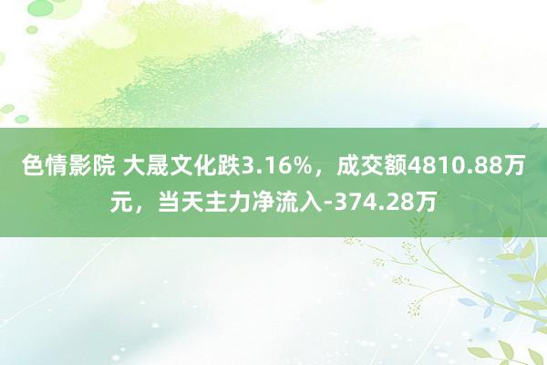 色情影院 大晟文化跌3.16%，成交额4810.88万元，当天主力净流入-374.28万