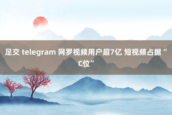 足交 telegram 网罗视频用户超7亿 短视频占据“C位”