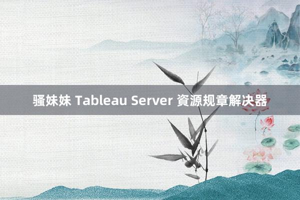 骚妹妹 Tableau Server 資源规章解决器